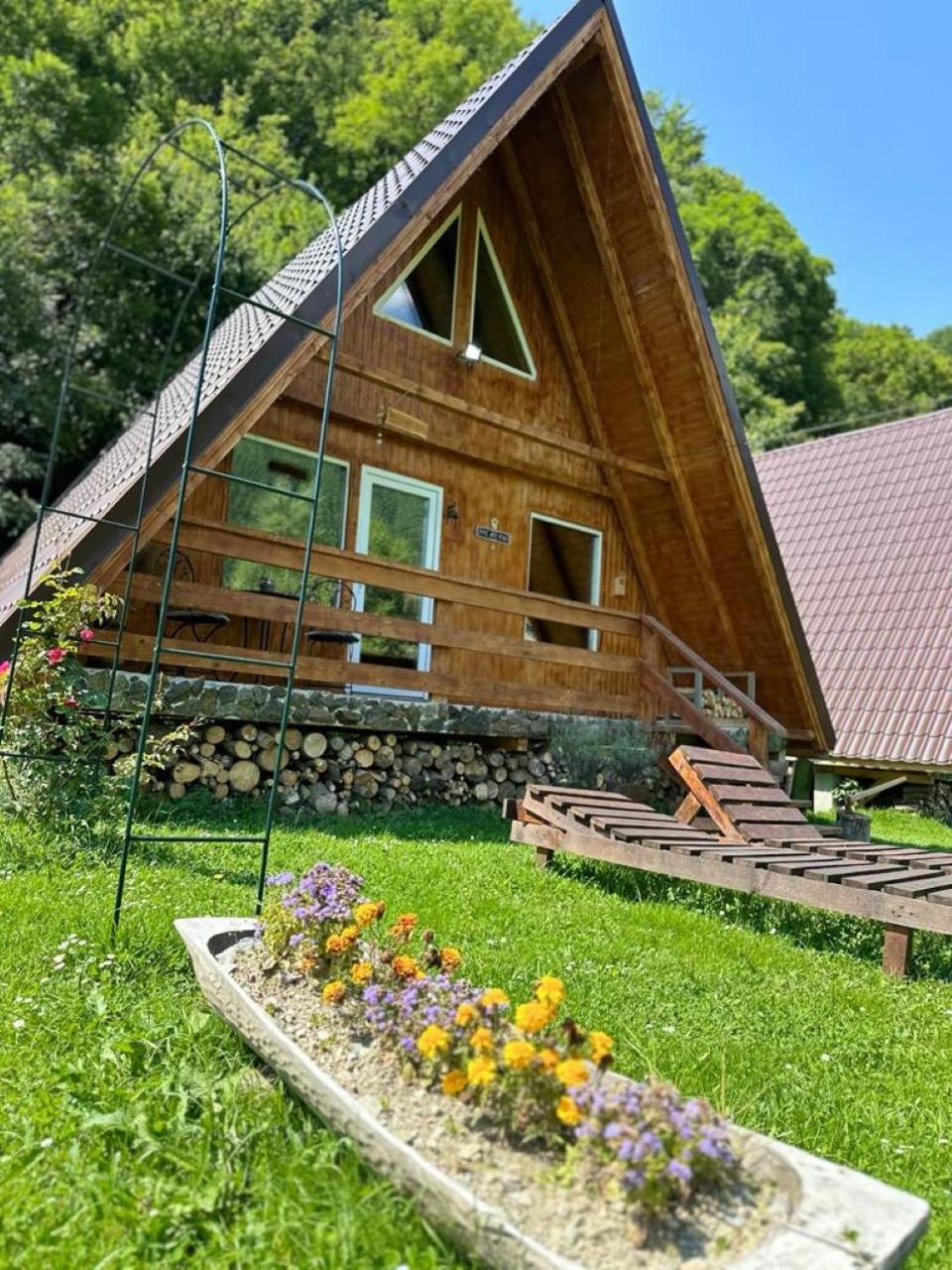 Cabanutze Satic Villa Rucar  Exterior photo