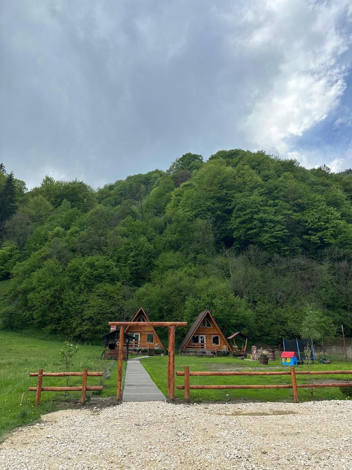 Cabanutze Satic Villa Rucar  Exterior photo